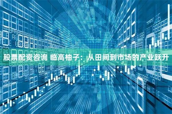 股票配资咨询 临高柚子：从田间到市场的产业跃升