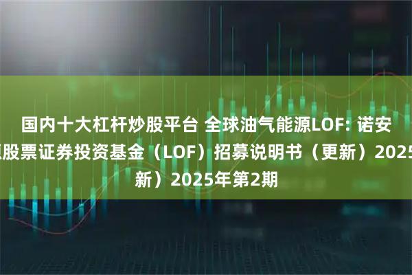 国内十大杠杆炒股平台 全球油气能源LOF: 诺安油气能源股票证券投资基金（LOF）招募说明书（更新）2025年第2期