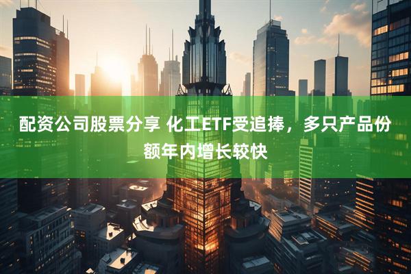 配资公司股票分享 化工ETF受追捧，多只产品份额年内增长较快